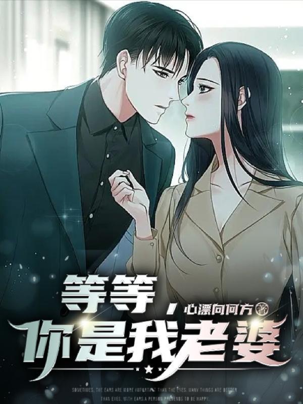 老婆的初恋回来了 老婆的初恋回来了