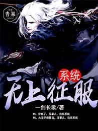 无上征服系统 无上征服系统