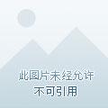 美女的神级护卫 美女的神级护卫