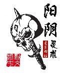阳阴灵术 阳阴灵术
