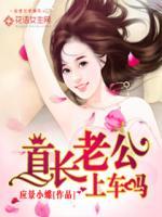 王牌老公,上车吗? 王牌老公,上车吗?