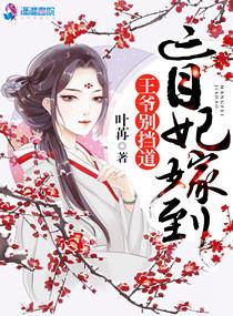 盲妃嫁到王爷别挡道 盲妃嫁到王爷别挡道