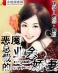 恶魔总裁的业余娇妻 恶魔总裁的业余娇妻