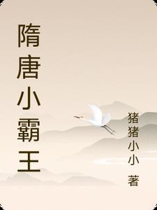 隋唐小霸王 隋唐小霸王