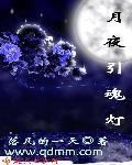 月夜引魂灯 月夜引魂灯