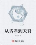 从昏君到天君 从昏君到天君