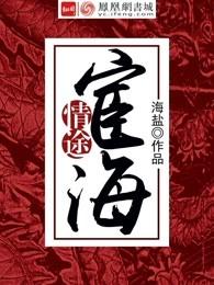 宦海情途 宦海情途