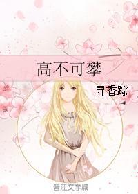 高不可攀 高不可攀