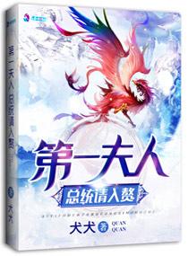 第一夫人:总统请入赘 第一夫人:总统请入赘