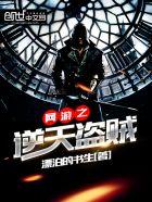 网游之逆天盗贼 网游之逆天盗贼