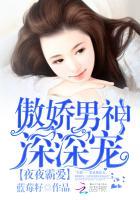 夜夜霸爱:傲娇男神深深宠 夜夜霸爱:傲娇男神深深宠