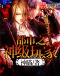 都市之神级玩家 都市之神级玩家