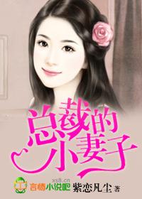 总裁的妻子 总裁的妻子