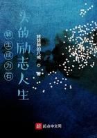 转生成为石头的励志人生 转生成为石头的励志人生